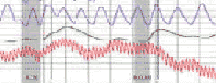 polygraph test in Rohnert Park